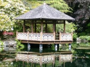 Landscape ideas - Japanese garden.jpg